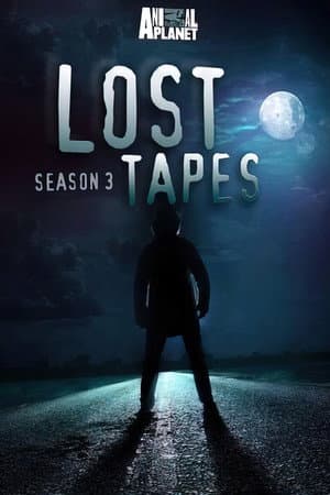 Temporada 3