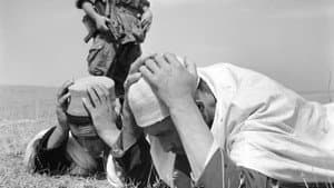 François Mitterrand et la guerre d'Algérie — foto 7