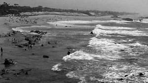 Miramar, Praia das Rosas — foto 1
