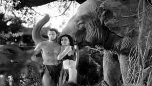 Tarzan, aux sources du mythe — foto 2