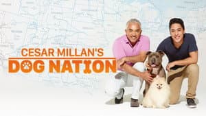 Cesar Millan's Dog Nation — foto 2
