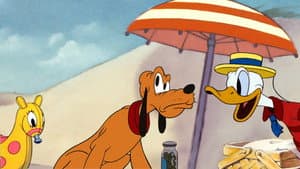 Donald - Picnic en la playa — foto 2