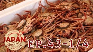 Episodio 43