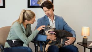 The Dog Lover's Guide to Dating — foto 4