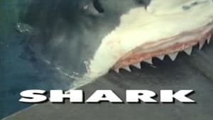 Predators of the Wild: Shark — foto 1