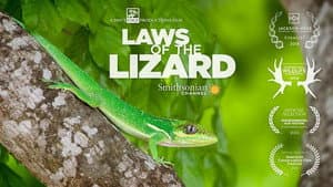 Laws of the Lizard — foto 1