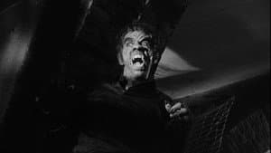 Lycanthropus — foto 1
