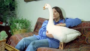 Manimals — foto 2