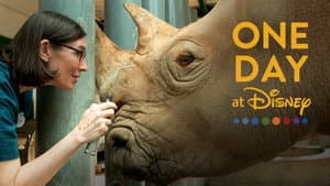 One Day at Disney — foto 12