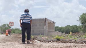 Dónde asoma el venado — foto 1