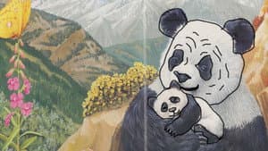Eu Sou um Pequeno Panda — foto 1