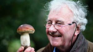The Magic of Mushrooms — foto 1