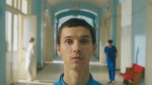 Яблоки — foto 1