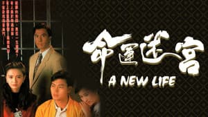 命運迷宮 — foto 1