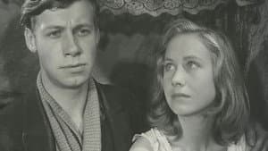 Ditte Menneskebarn — foto 1