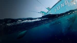 Wicked Tuna: Outer Banks — foto 4