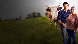 L'Amour vache — foto 1
