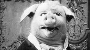 Le Cochon Danseur — foto 1