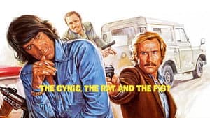 Il cinico, l'infame, il violento — foto 5