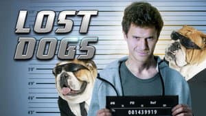 Lost Dogs — foto 1