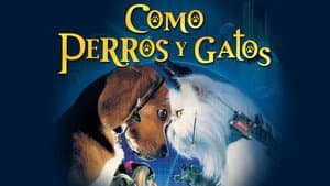 Como Perros y Gatos — foto 8