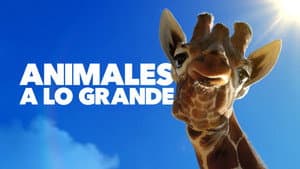 Criaturas gigantes — foto 6