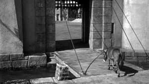 Francis in the Haunted House — foto 5