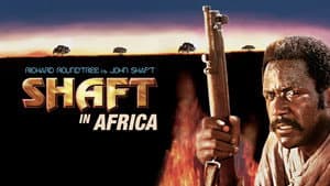 Shaft in Africa — foto 6
