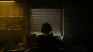 inert — foto 1