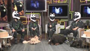 Episodio 381