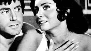 Bianco, rosso, giallo, rosa — foto 2