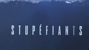 Stupéfiants — foto 1