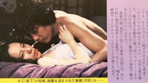 陽のあたる場所 — foto 1
