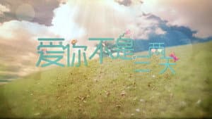 爱你不是三两天 — foto 1