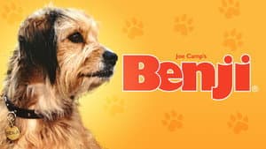 Benji — foto 4