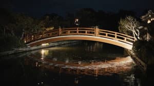 献辞 — foto 3