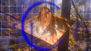 A New Nature — foto 1