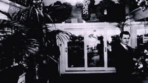 The garden florist — foto 1