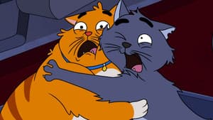 ¿Quién es un gato asustadizo?