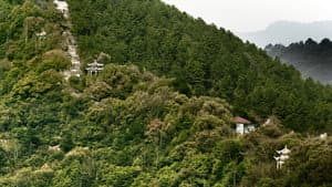春江水暖 — foto 4