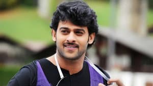 డార్లింగ్ — foto 6