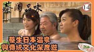 Episodio 14