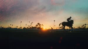 Jockey — foto 3