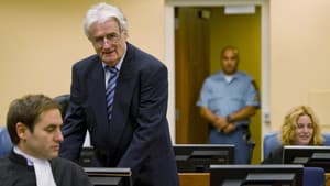 The Serbian Lawyer — foto 1