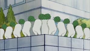 Episodio 254