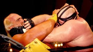 WCW SuperBrawl V — foto 2