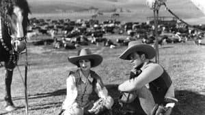 The Last Outlaw — foto 2