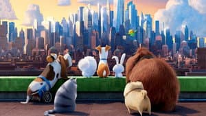 La vida secreta de tus mascotas — foto 10