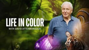 La vida a color con David Attenborough — foto 4