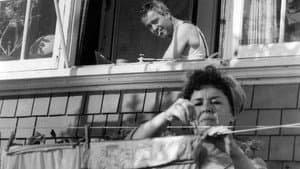 The Entertainer — foto 1